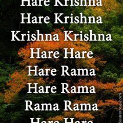 Hare Krishna Maha Mantra 355