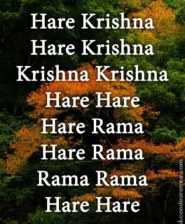 Hare Krishna Maha Mantra 355
