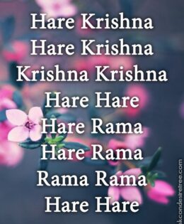 Hare Krishna Maha Mantra 356