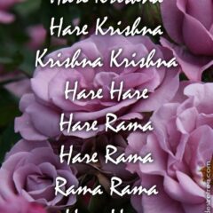 Hare Krishna Maha Mantra 357