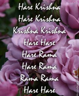 Hare Krishna Maha Mantra 357