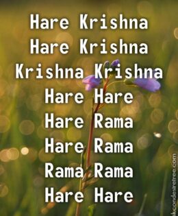 Hare Krishna Maha Mantra 359