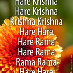 Hare Krishna Maha Mantra 362