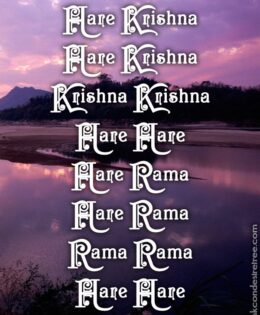 Hare Krishna Maha Mantra 372