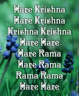 Hare Krishna Maha Mantra 373