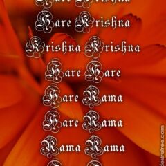 Hare Krishna Maha Mantra 378