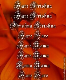 Hare Krishna Maha Mantra 378