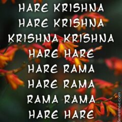 Hare Krishna Maha Mantra 379