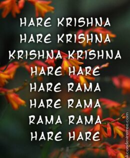 Hare Krishna Maha Mantra 379