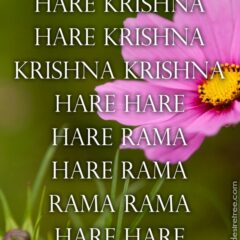 Hare Krishna Maha Mantra 381