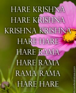 Hare Krishna Maha Mantra 381