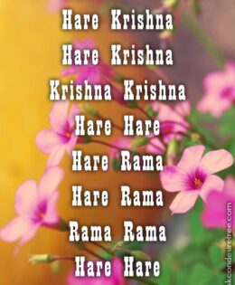 Hare Krishna Maha Mantra 382