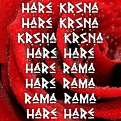 Hare Krishna Maha Mantra 387