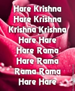 Hare Krishna Maha Mantra 390