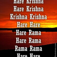 Hare Krishna Maha Mantra 392