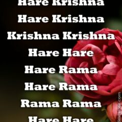 Hare Krishna Maha Mantra 393
