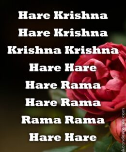 Hare Krishna Maha Mantra 393