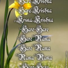 Hare Krishna Maha Mantra 395