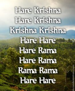 Hare Krishna Maha Mantra 399