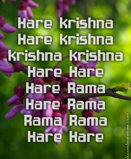 Hare Krishna Maha Mantra 400