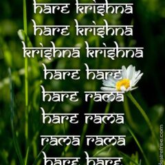 Hare Krishna Maha Mantra 401