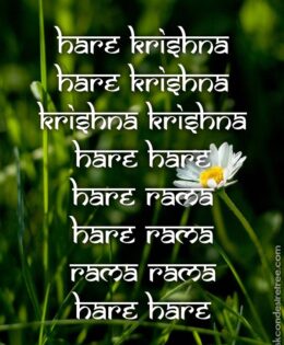 Hare Krishna Maha Mantra 401