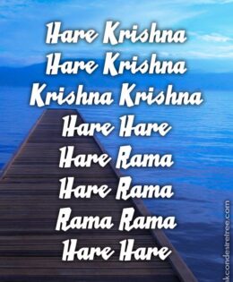 Hare Krishna Maha Mantra 407