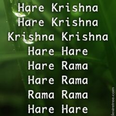 Hare Krishna Maha Mantra 419