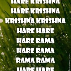 Hare Krishna Maha Mantra 426