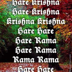 Hare Krishna Maha Mantra 445