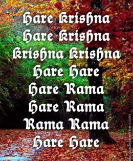 Hare Krishna Maha Mantra 445