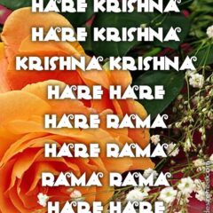 Hare Krishna Maha Mantra 446