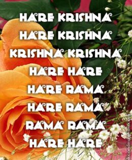 Hare Krishna Maha Mantra 446