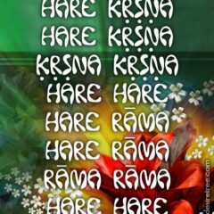 Hare Krishna Maha Mantra 451