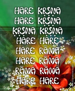 Hare Krishna Maha Mantra 451