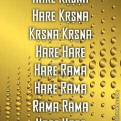 Hare Krishna Maha Mantra 456