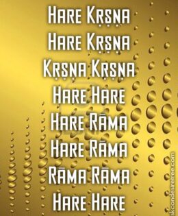 Hare Krishna Maha Mantra 456