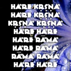Hare Krishna Maha Mantra 463