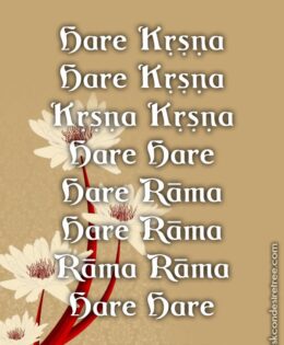 Hare Krishna Maha Mantra 469