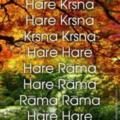 Hare Krishna Maha Mantra 472