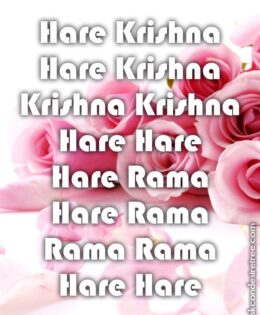 Hare Krishna Maha Mantra 473