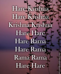 Hare Krishna Maha Mantra 476