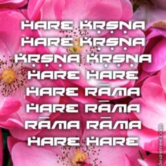 Hare Krishna Maha Mantra 477