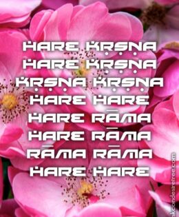 Hare Krishna Maha Mantra 477