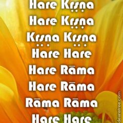 Hare Krishna Maha Mantra 478