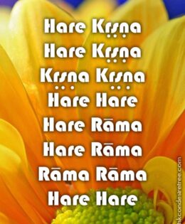 Hare Krishna Maha Mantra 478