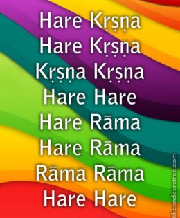 Hare Krishna Maha Mantra 480