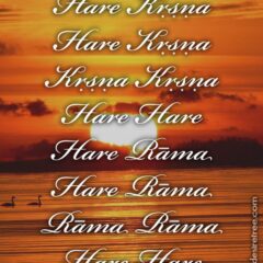 Hare Krishna Maha Mantra 486