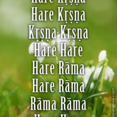 Hare Krishna Maha Mantra 489