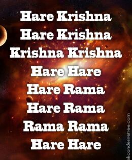 Hare Krishna Maha Mantra 495